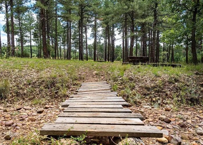 The Large Cabin, 17 Acres, Playground, Forest Access Holiday home *