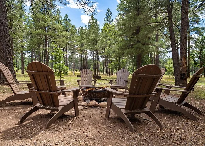 Holiday home The Large Cabin, 17 Acres, Playground, Forest Access