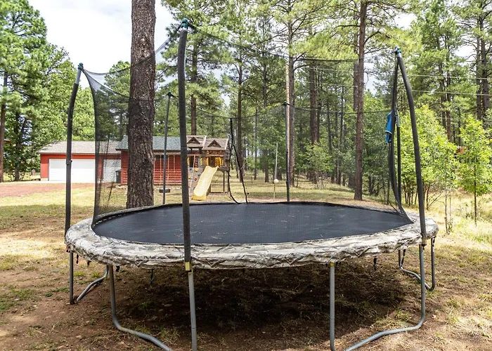 Holiday home The Large Cabin, 17 Acres, Playground, Forest Access *