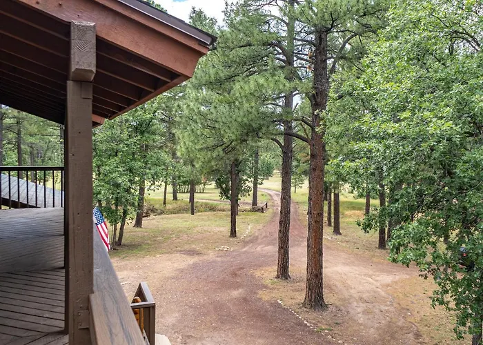 The Large Cabin, 17 Acres, Playground, Forest Access *