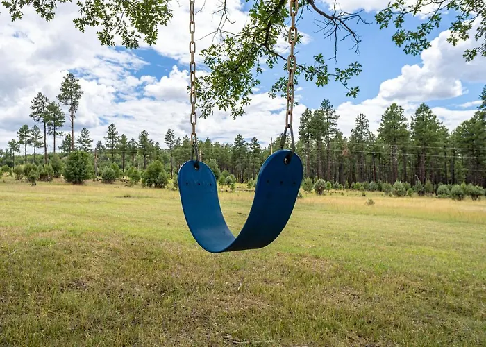 The Large Cabin, 17 Acres, Playground, Forest Access