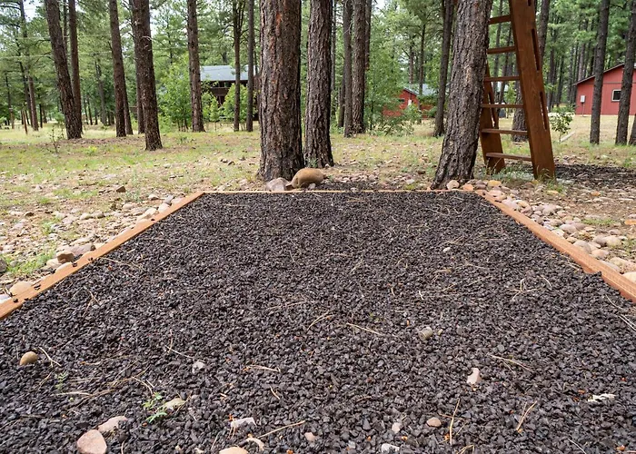 The Large Cabin, 17 Acres, Playground, Forest Access Pinedale