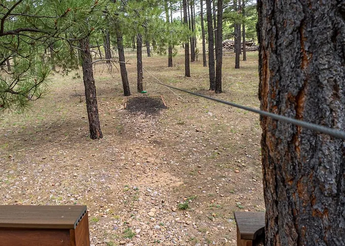 Holiday home The Large Cabin, 17 Acres, Playground, Forest Access