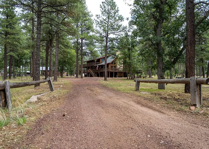 The Large Cabin, 17 Acres, Playground, Forest Access