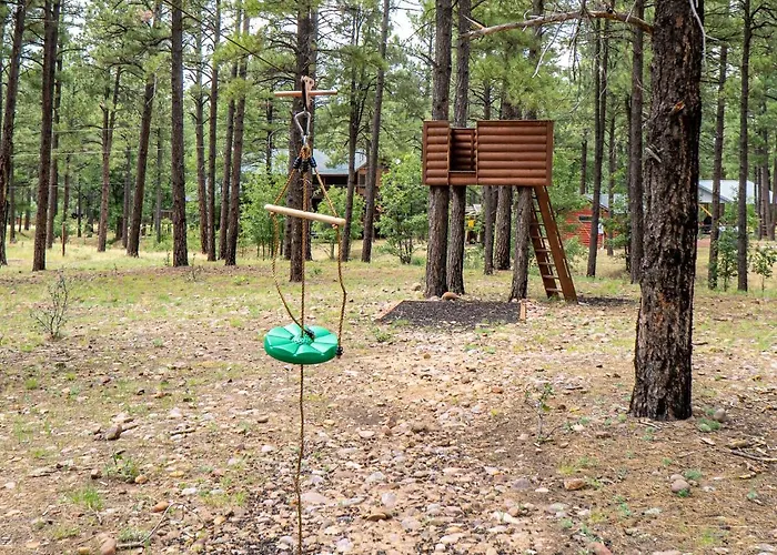 The Large Cabin, 17 Acres, Playground, Forest Access Pinedale